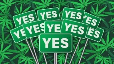 Rhode Island Becomes 19th State to Legalize Marijuana for Adults