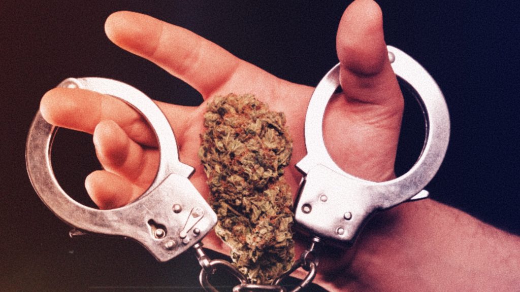 FBI Statistics in Marijuana Arrests Are Flawed