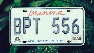 Louisiana: Changes in State’s Marijuana Laws Take Effect