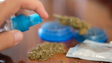 Study: Use of Unregulated Synthetic Cannabinoid Products Falls Following Marijuana Legalization