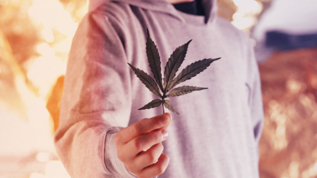 While Young Adult Marijuana Use Rose, Adolescent Use Plummeted