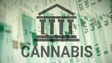 NORML Calls on Senators to Advance Cannabis Banking Legislation