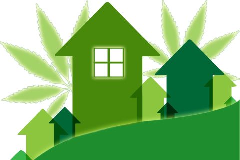 Analysis: Legal Cannabis Businesses Associated with Increased Home Values