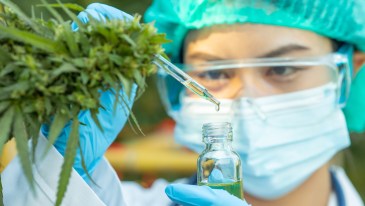 Record Number of Scientific Papers Published About Cannabis in 2022