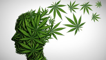 NORML Op-Ed: Concerns Surrounding Cannabis and Mental Health Must Be Placed in Context, Not Sensationalized