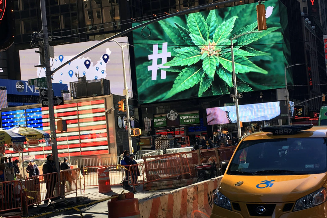 New Yorkers Believe Marijuana Is Safer Than Alcohol In Recent Survey