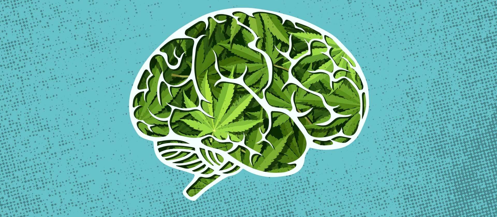 The Long-Term Effects Cannabis Has On The Brain