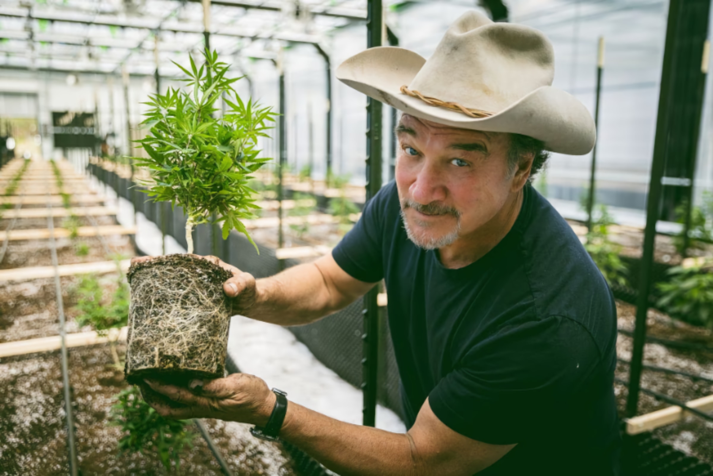 Jim Belushi’s Show about growing weed gets a new season starting this month