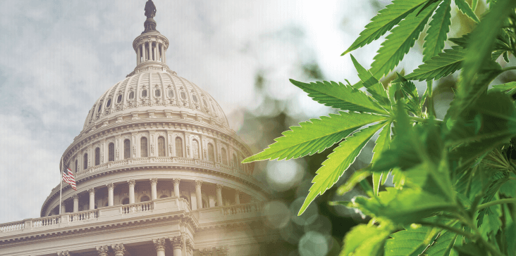 Americans Are Smoking More Weed And The Federal Government Is Hiring Less, Crisis On The Rise