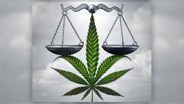 NORML Legal Committee Submits Amicus Brief in Federal Case Challenging Government’s Gun Ban for Medical Cannabis Consumers