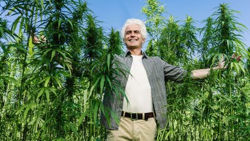 Survey: Older Adults Hold Positive Attitudes Toward Cannabis