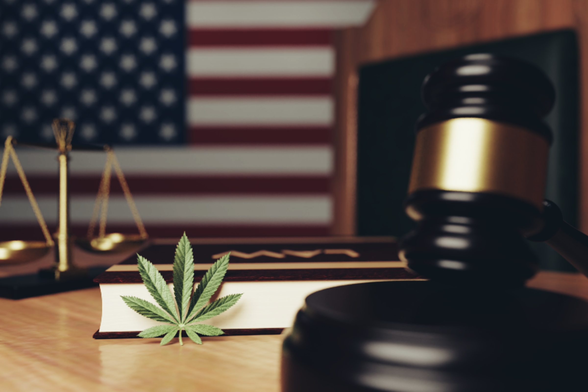 And now DOJ is trying to reverse court decision on guns and weed