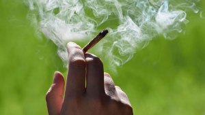 Survey Highlights Changing Perceptions Regarding Cannabis and Tobacco