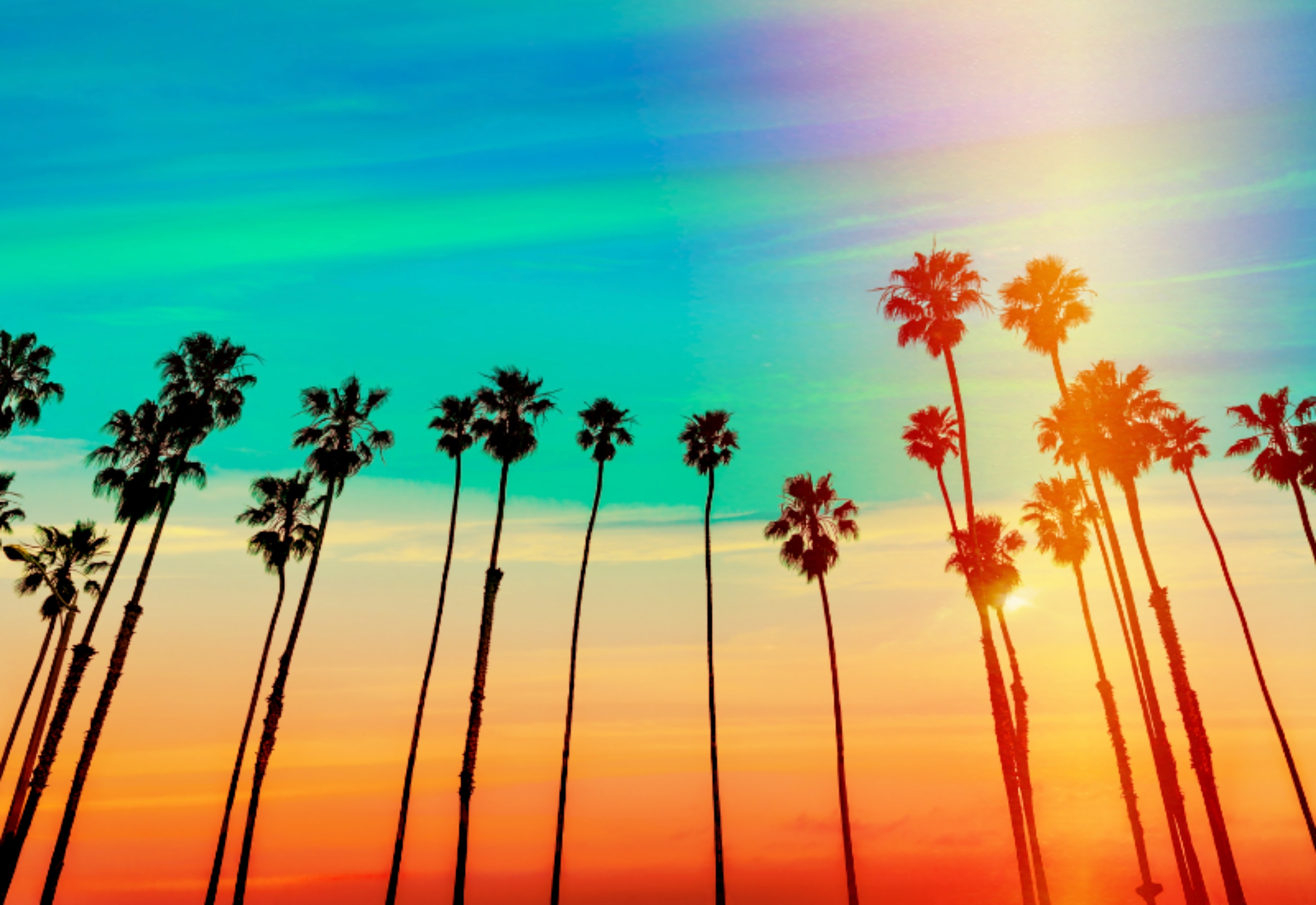 Psychedelic Legalization Bill is Actually Heading to California Governor’s Desk