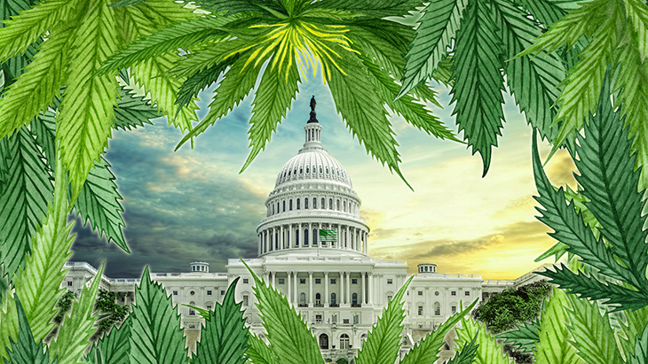 It’s ‘Go Time’ for Cannabis Bills in Congress
