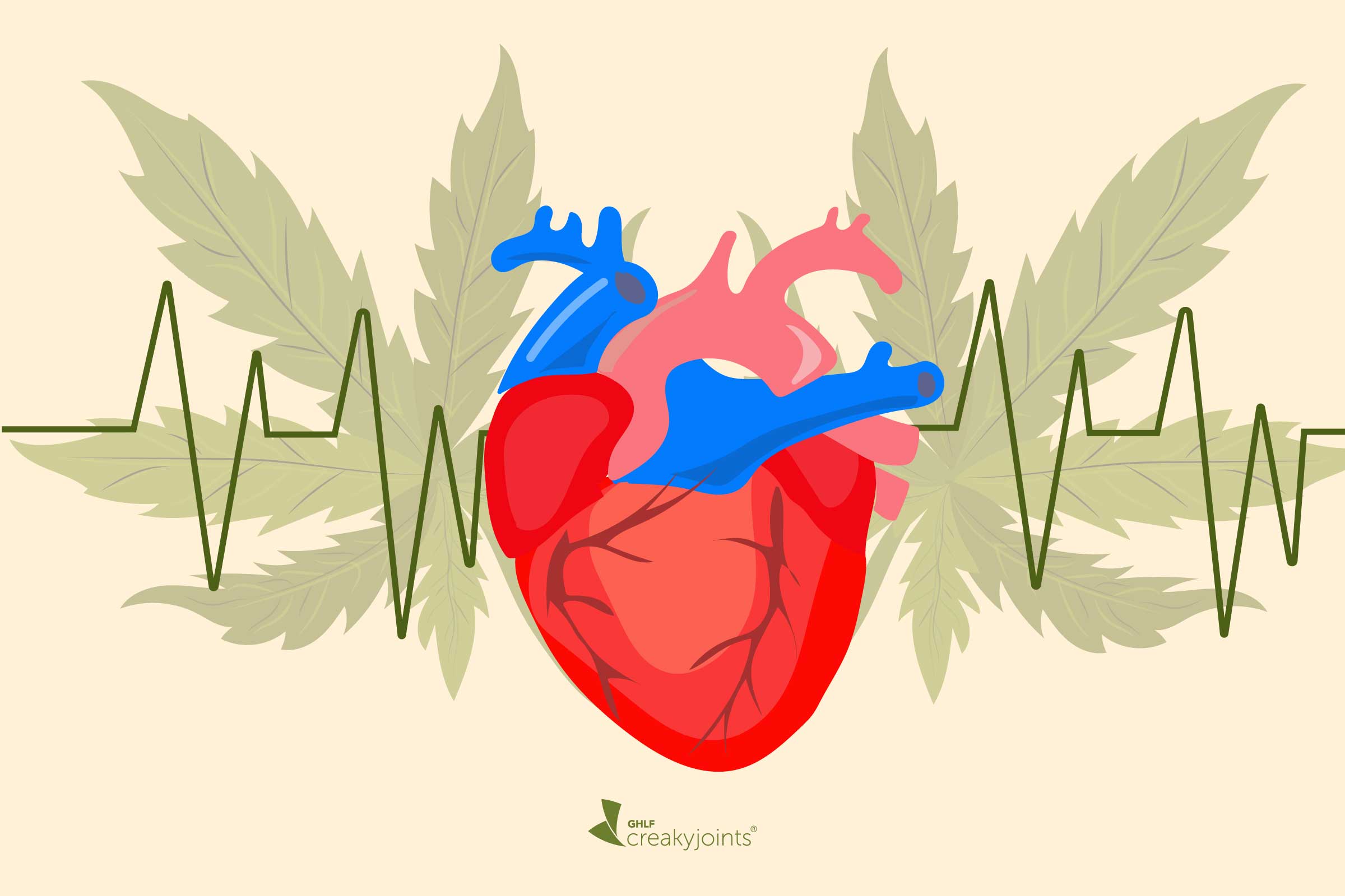 New Studies Show Increased Of Heart Disease If You Consume Cannabis