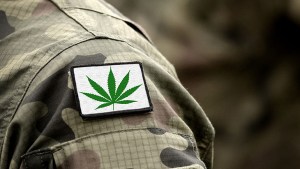 Study: Cannabis Use Associated with Improved Symptoms, Better Sleep in Patients Suffering from Post-Traumatic Stress