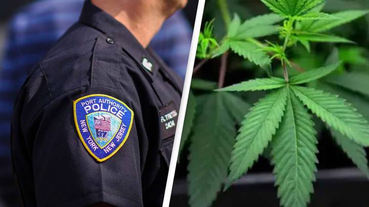 California Police Remove Marijuana Questions From Application Forms