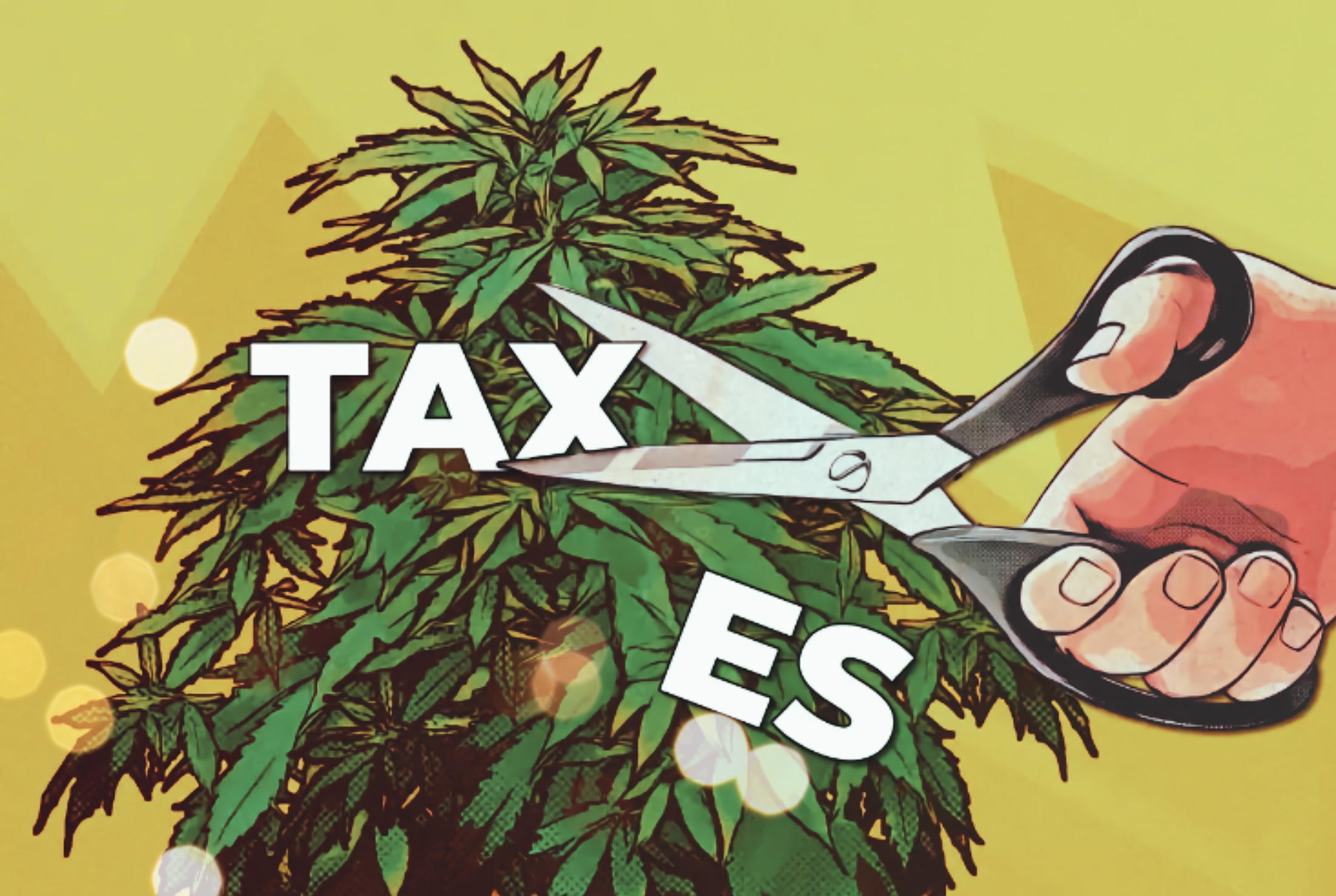 Weed Companies can make a good amount of money back with tax refunds