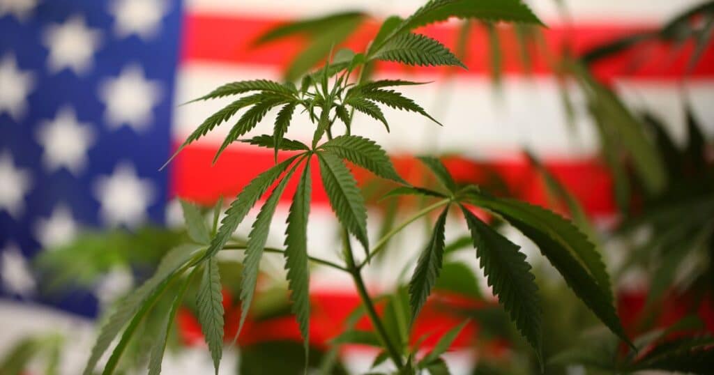 U.S. Navy Changes Their Approach To Marijuana Testing