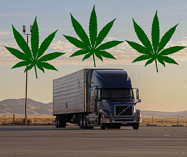 Truck Drivers Are Refusing More Drug Tests As States Legalize Cannabis