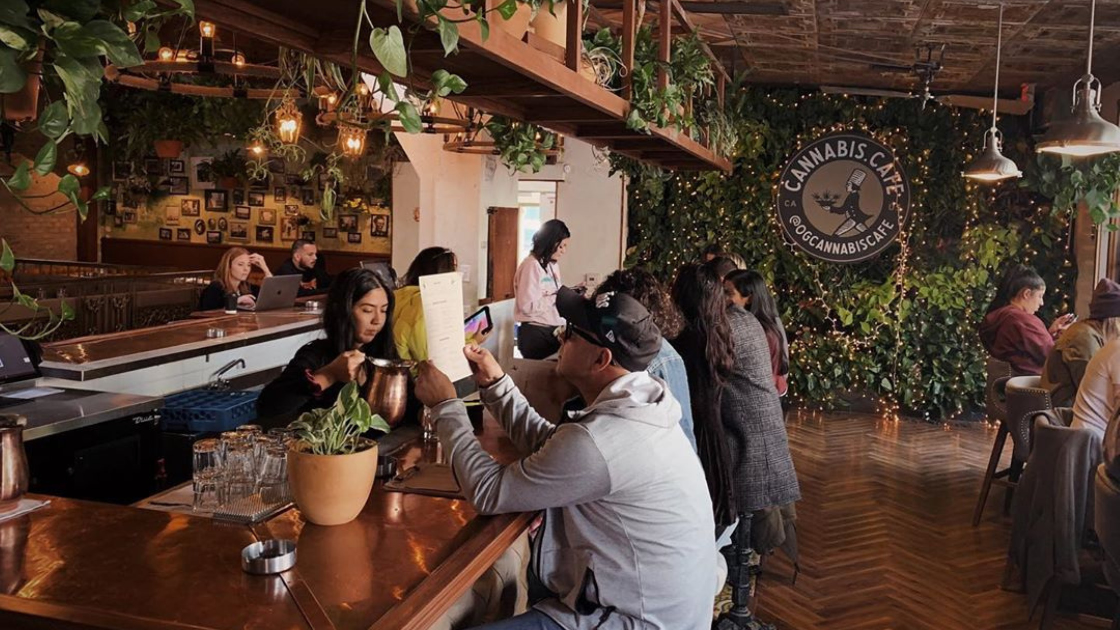 California Legalizes Cannabis Cafes