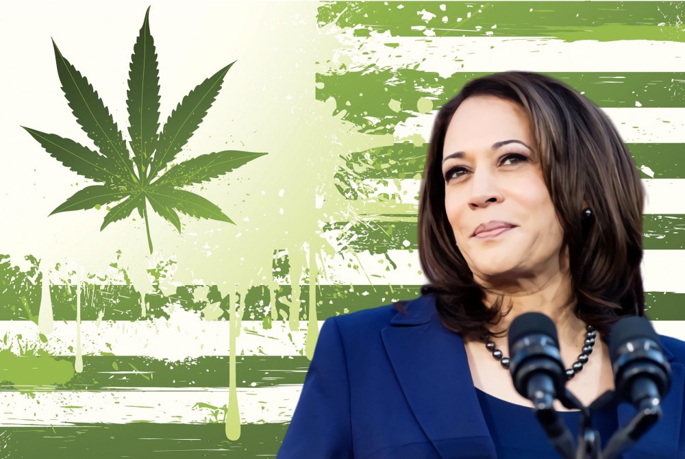 Former NBA Player Smoked Cannabis Before Interviewing Kamala Harris