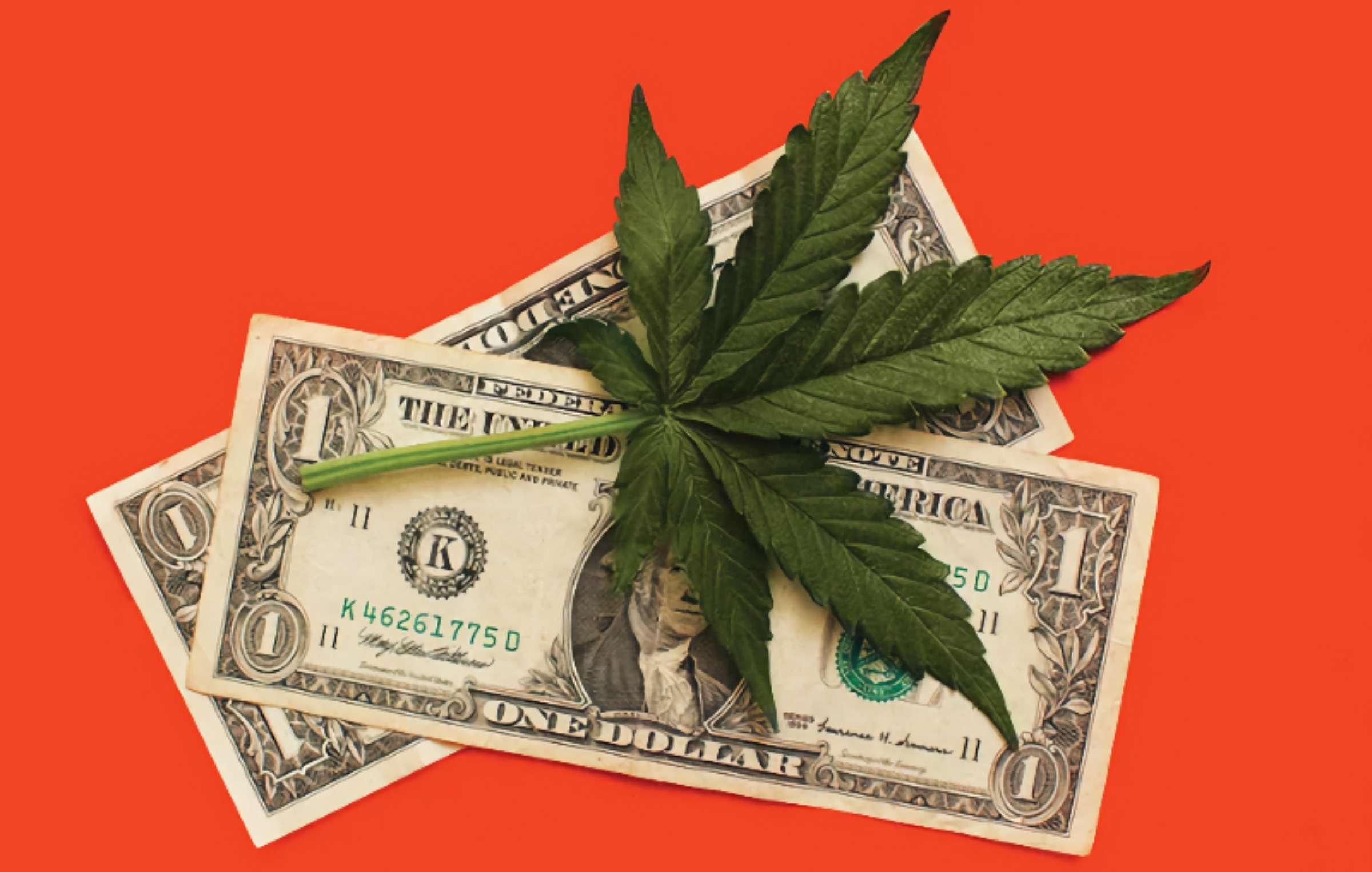 $3 Billion could be generated from marijuana ballots if all in their favor