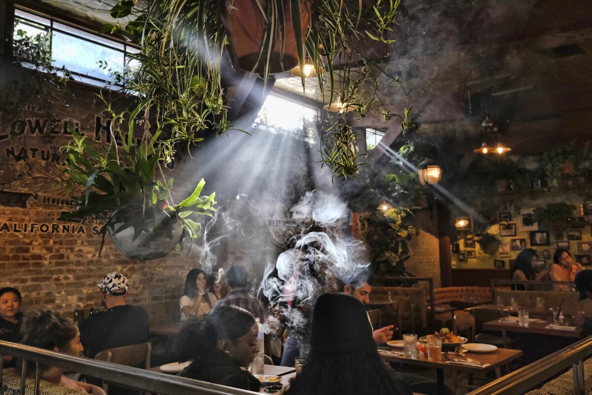 New California Law Allows ‘Amsterdam Style’ Cannabis Cafe Expansions