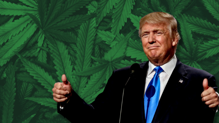 Trump Weighs Marijuana Rescheduling as Feds Call it ‘Deadly’