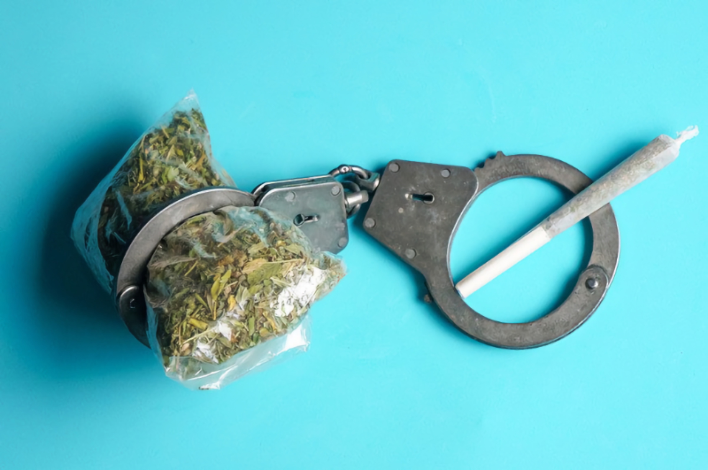 Here’s where most weed arrests were made in the US last year