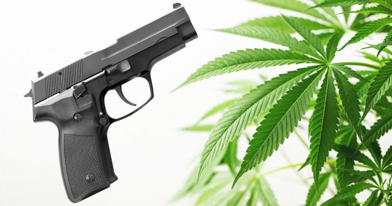 Another Ruling On Cannabis And Firearms is Headed To The Supreme Court
