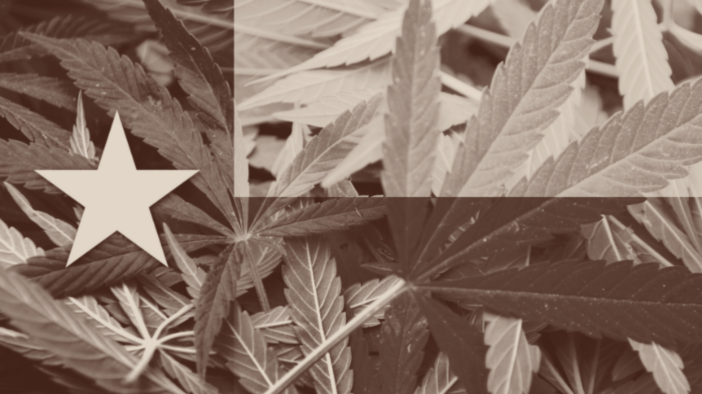 Texas is trying to raise hemp-derived THC prices by 13,000%