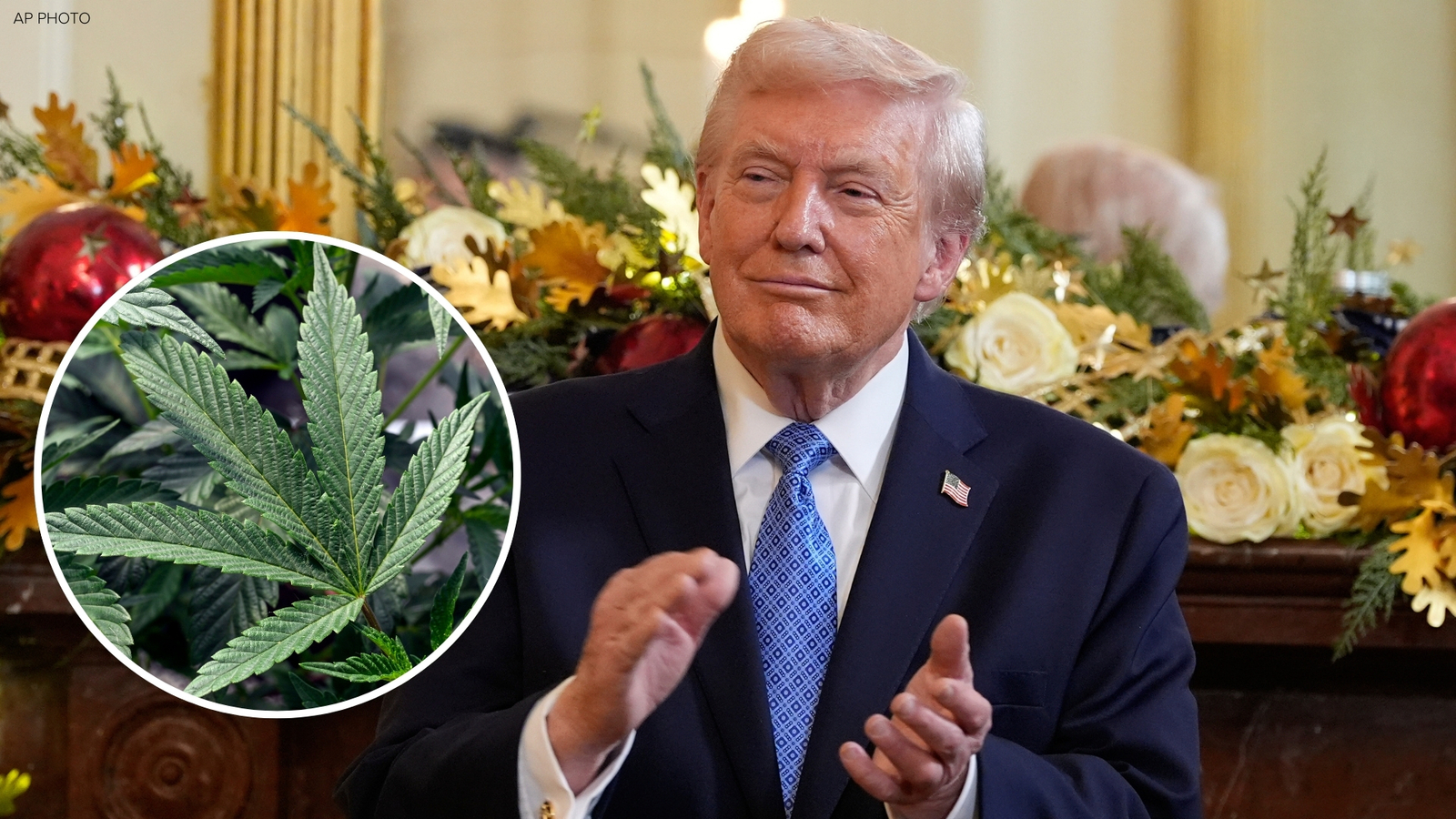 Former WH Drug Czar Calls Marijuana Rescheduling ‘Massively Destructive’