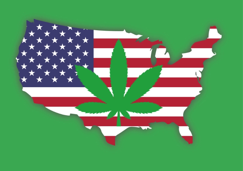 Has the US made marijuana a problem for itself?