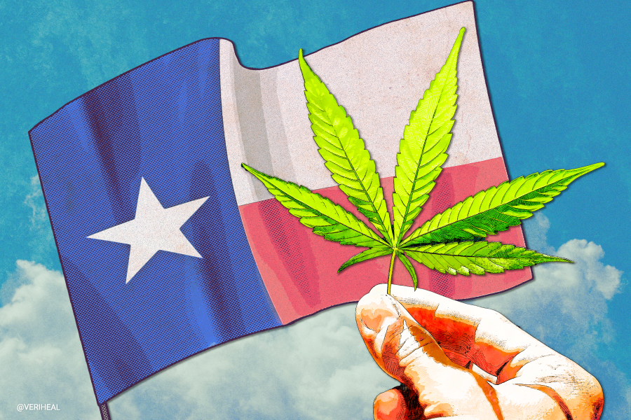 Texas Voters Voted Yes On Legalization Ballot Measure