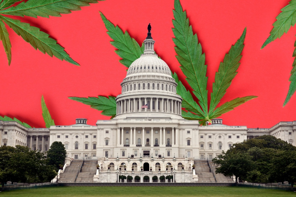 New Report Gives Update On Cannabis Rescheduling and Hemp THC Ban