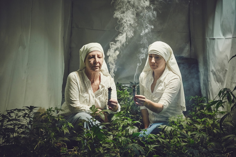 Those Weed Nuns from One Battle After Another were Real