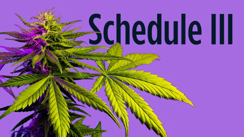 Congressman wants to know what’s going on with marijuana rescheduling