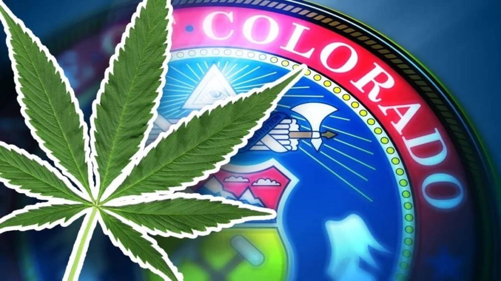 Colorado’s Hidden Hemp Market: A Closer Look at the State’s Surging Illegal Trade