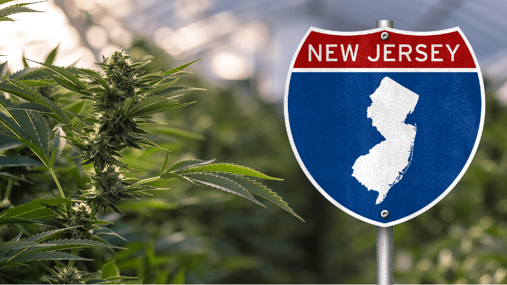 New Jersey Court Upholds Termination of Officers Over Off-Duty Cannabis Use
