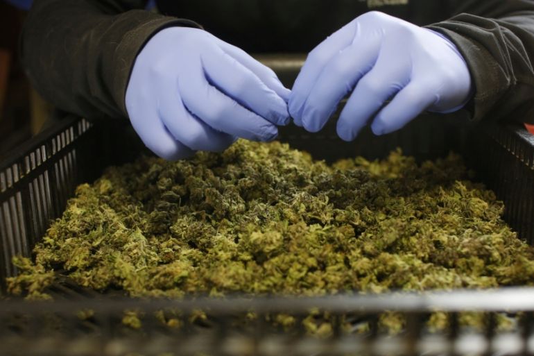 North Carolina Moves to Set Minimum Age for Hemp and Kratom Sales