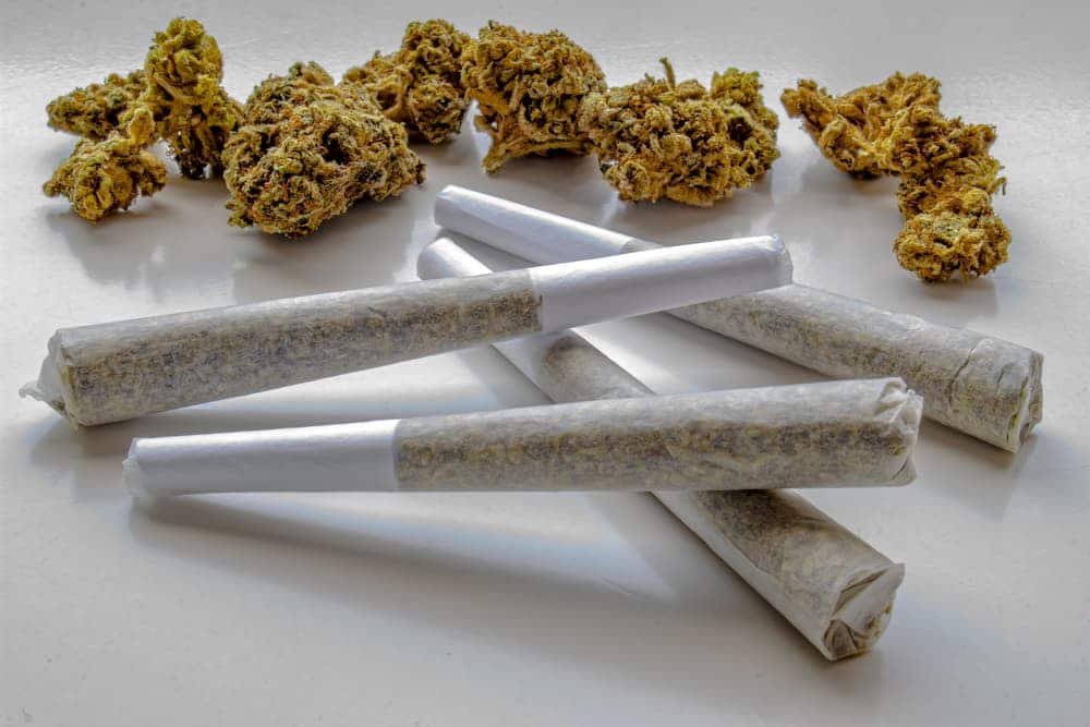 Pre-Rolls Surpass Flower as Cannabis Market Leader in 2025: What This Means for Industry Stakeholders