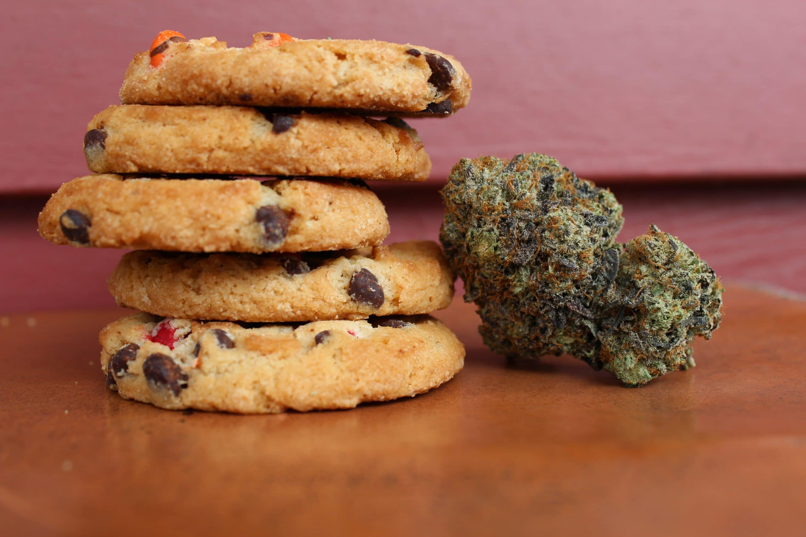 Marijuana Munchies Aren’t Just for Humans: Animals Get Them Too, International Study Finds