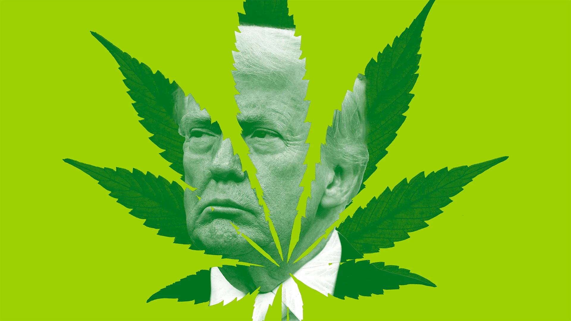 Democrats Push for Marijuana Clemency: A Cultural Flashpoint in Trump’s Final Days