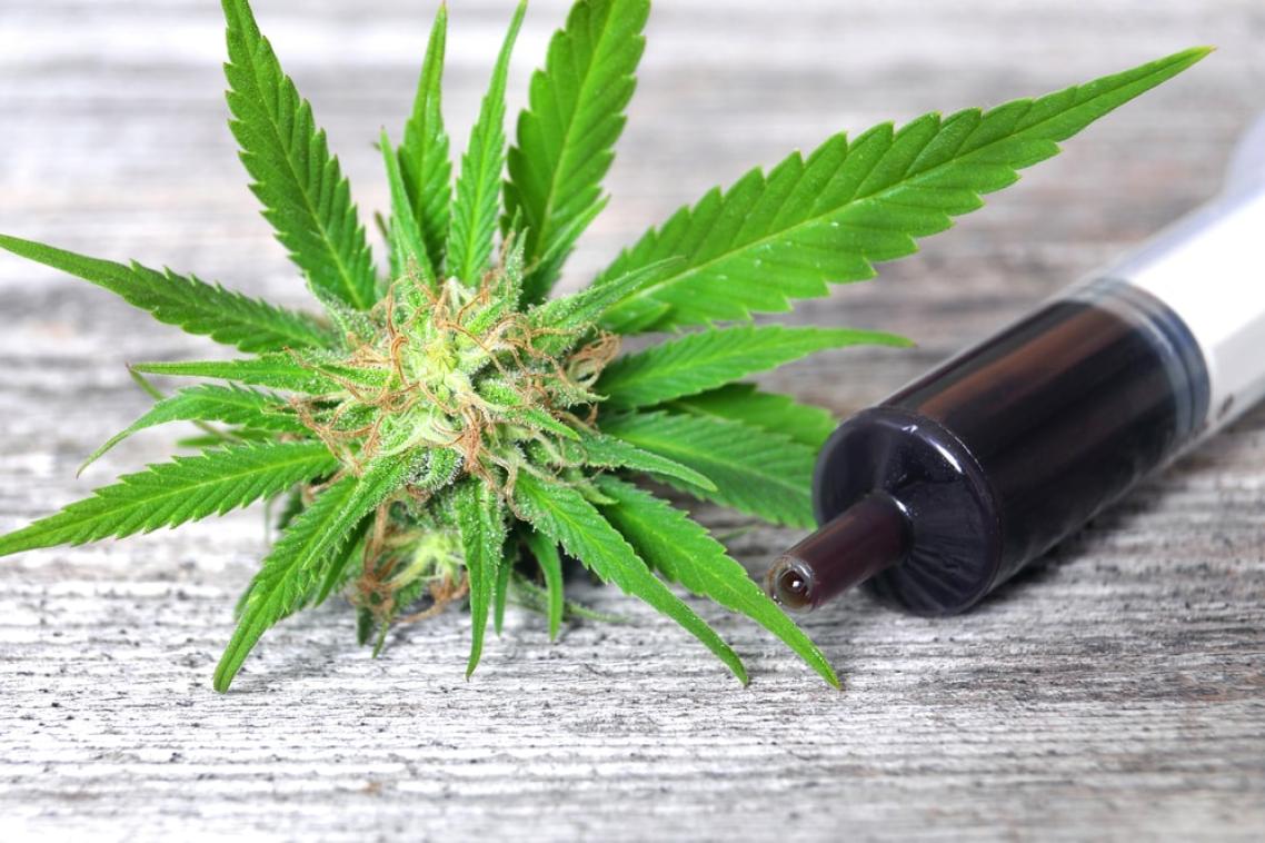 Sharon Stone’s Weed Withdrawal Experience Highlights Risks of Today’s Potent Marijuana