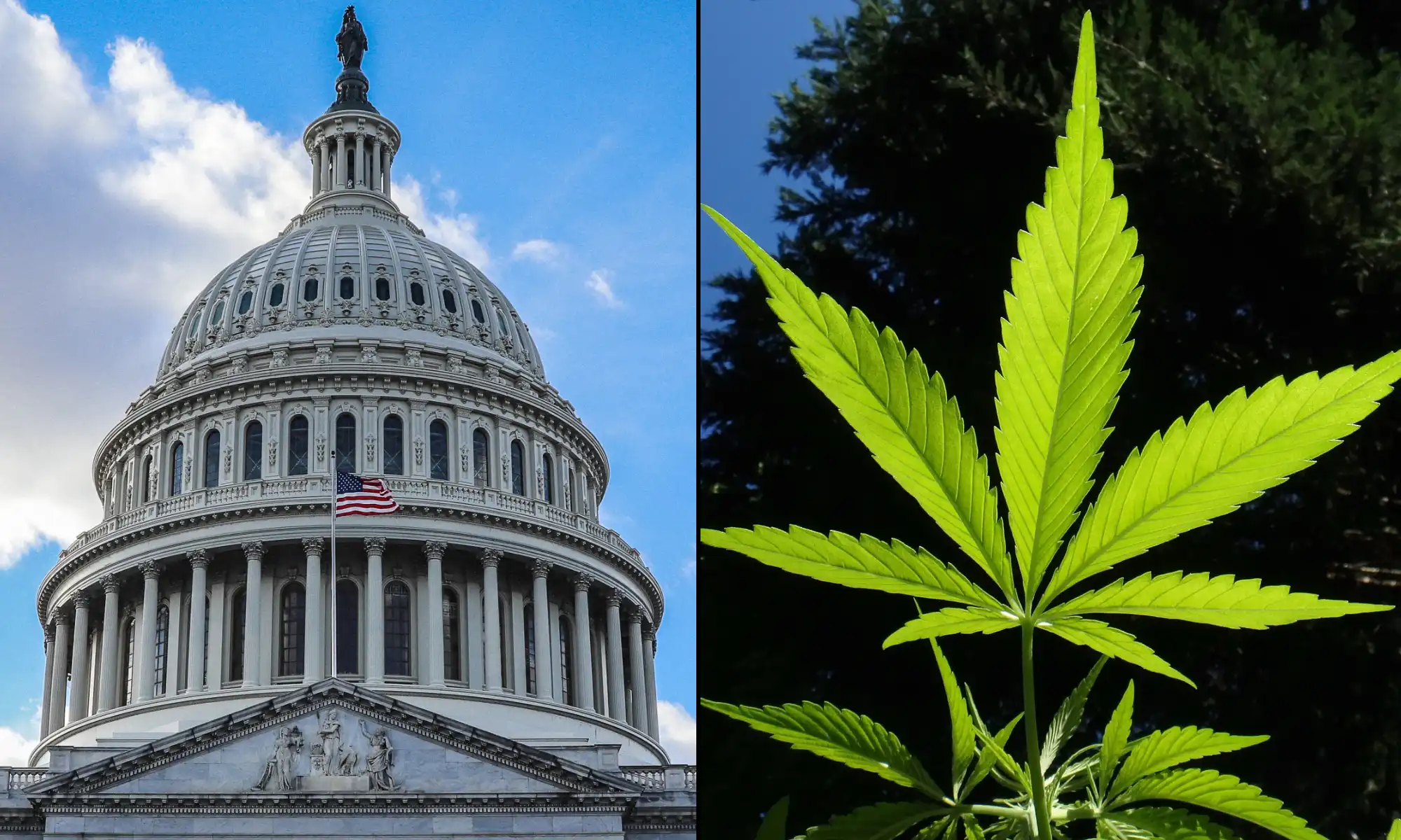 Congress Proposes Bipartisan Bill to Regulate Hemp-Derived THC Products with New Taxes