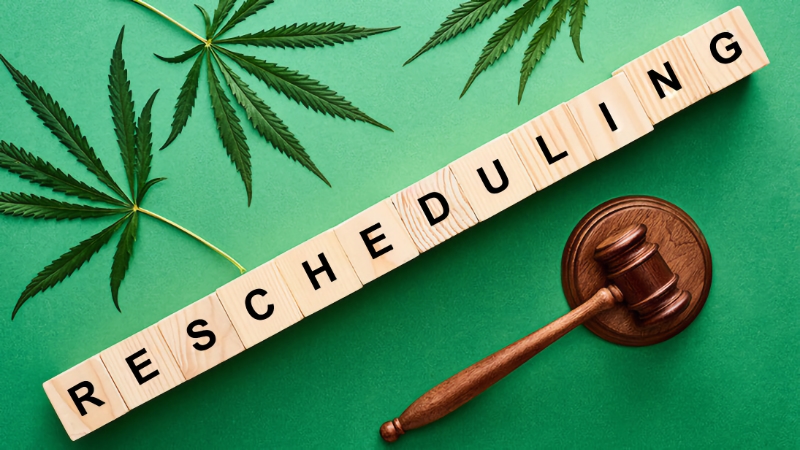 Inside the first week of the Marijuana Rescheduling Hearing