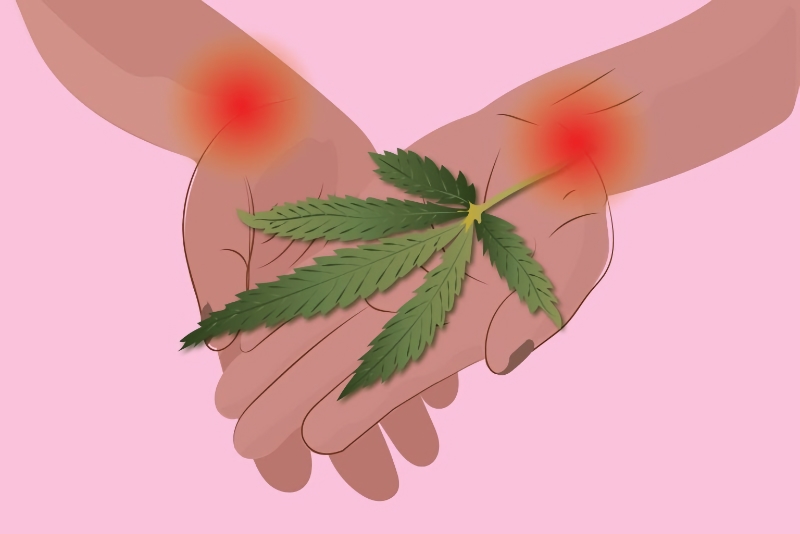 Marijuana can potentially eliminate the need for opioids