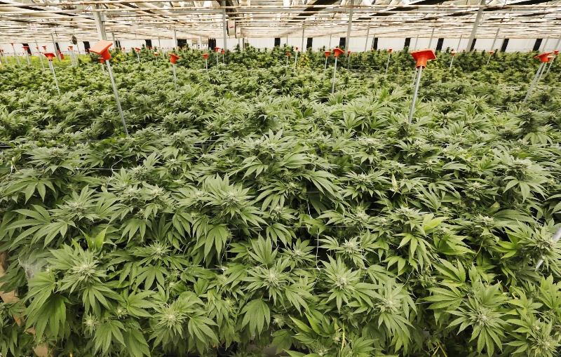 Two major manufacturers in California announce layoffs